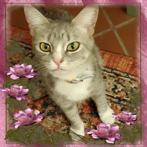 Meet your Posher, Maureen